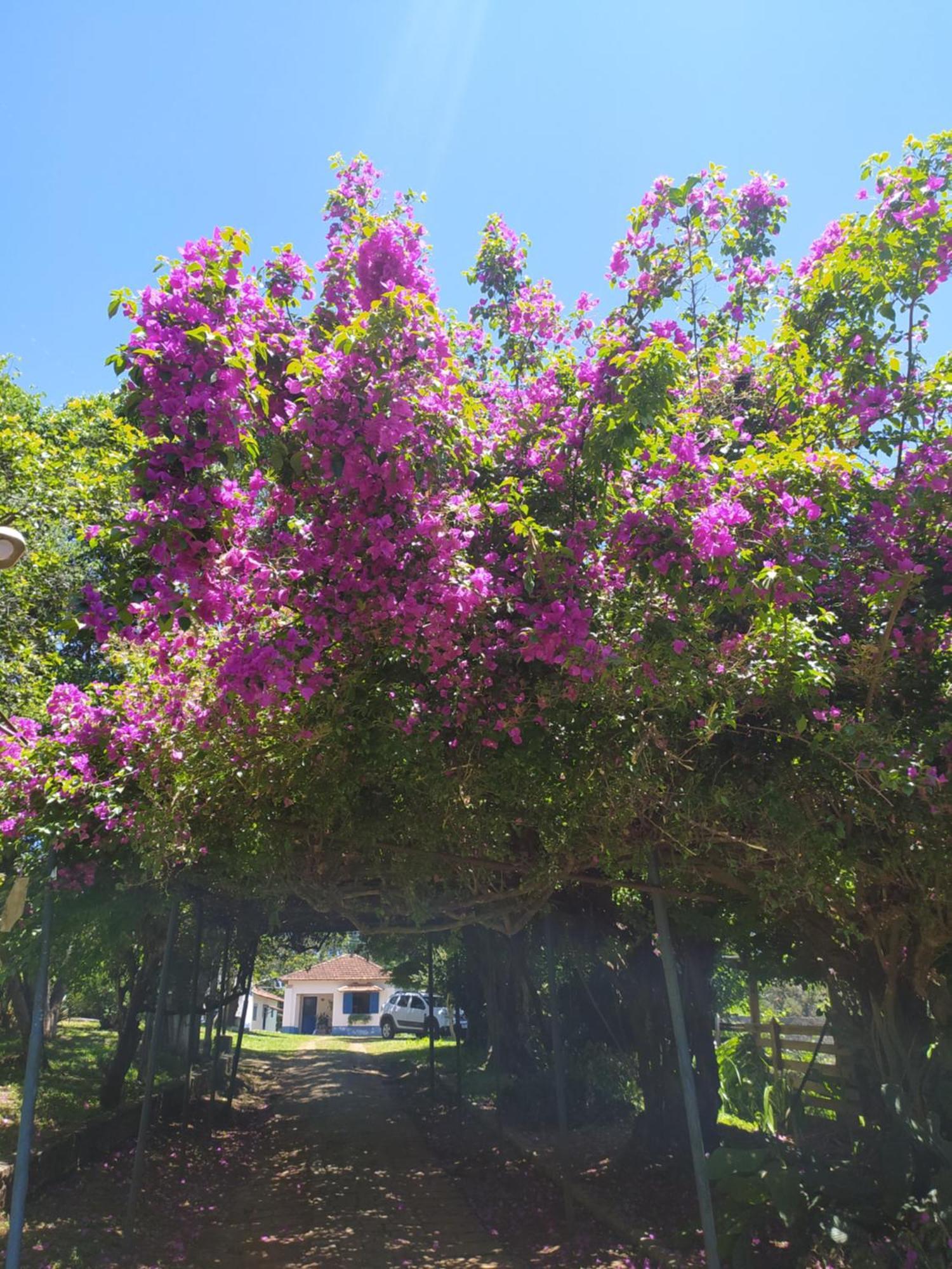 Pousada Sino Dos Ventos Sao Sebastiao do Rio Verde Exterior foto